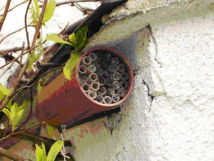 Man-made solitary bee house